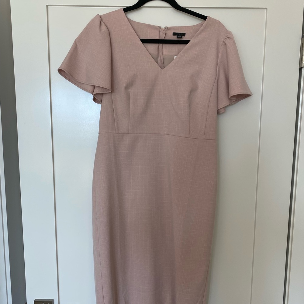 BNWT CLASSIC ANN TAYLOR DRESS